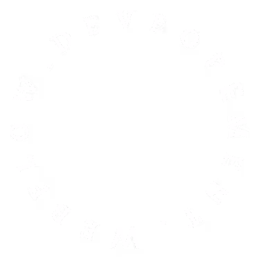webflow development