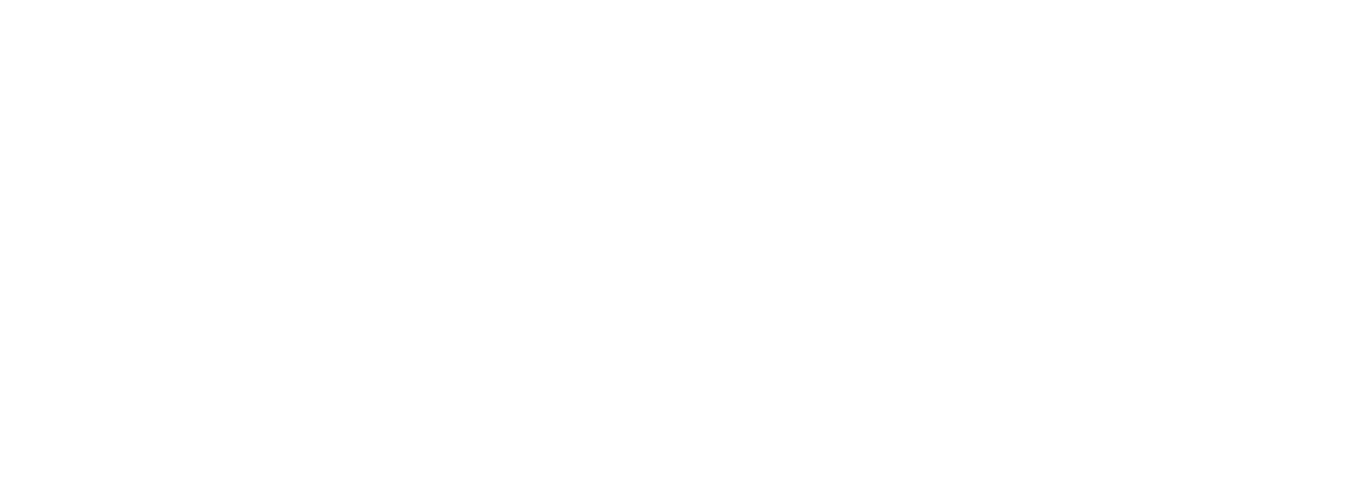Raiffeisenbank – project financing bank