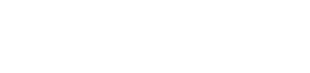 vaylo logo white