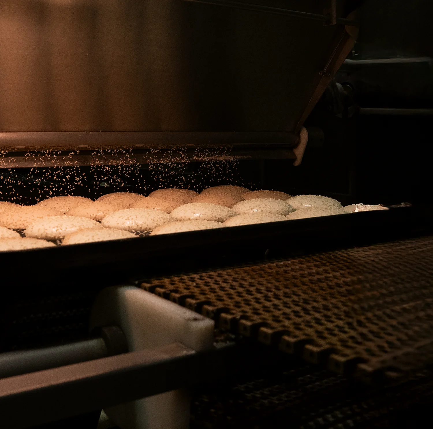 Unbaked dough buns on a conveyor belt receiving sesame seeds in an industrial bakery.