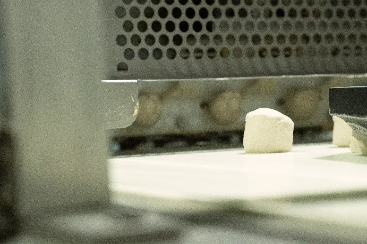 Close-up of dough pieces on a conveyor belt in a bakery production line.