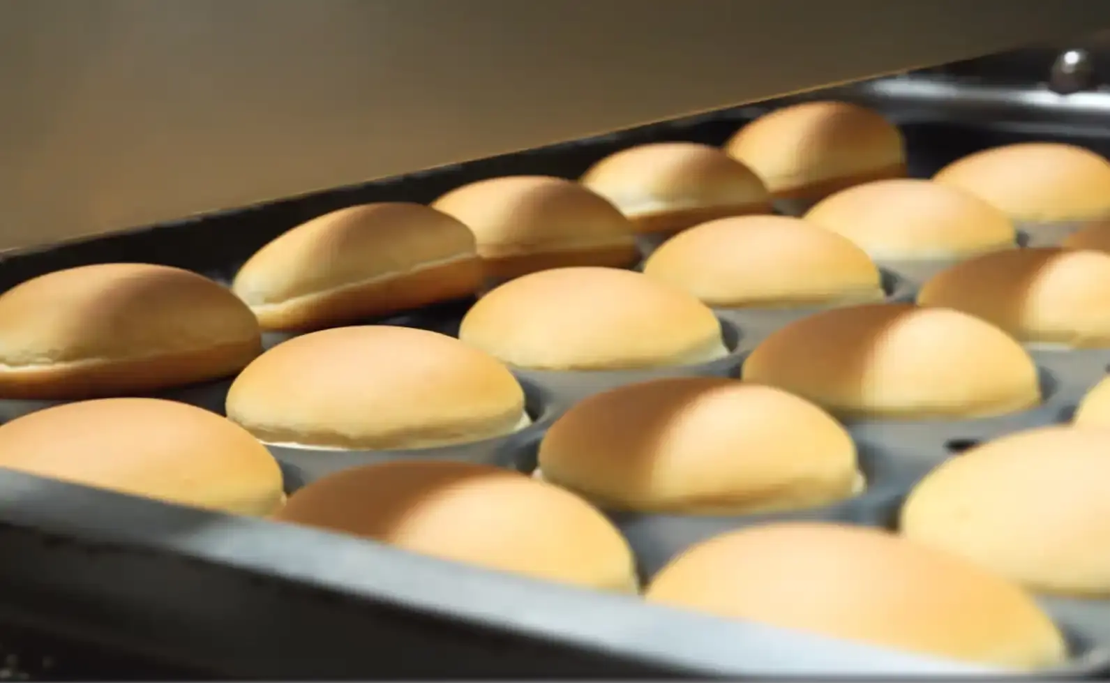 Rows of golden brown freshly baked bread rolls in a baking tray inside an oven.