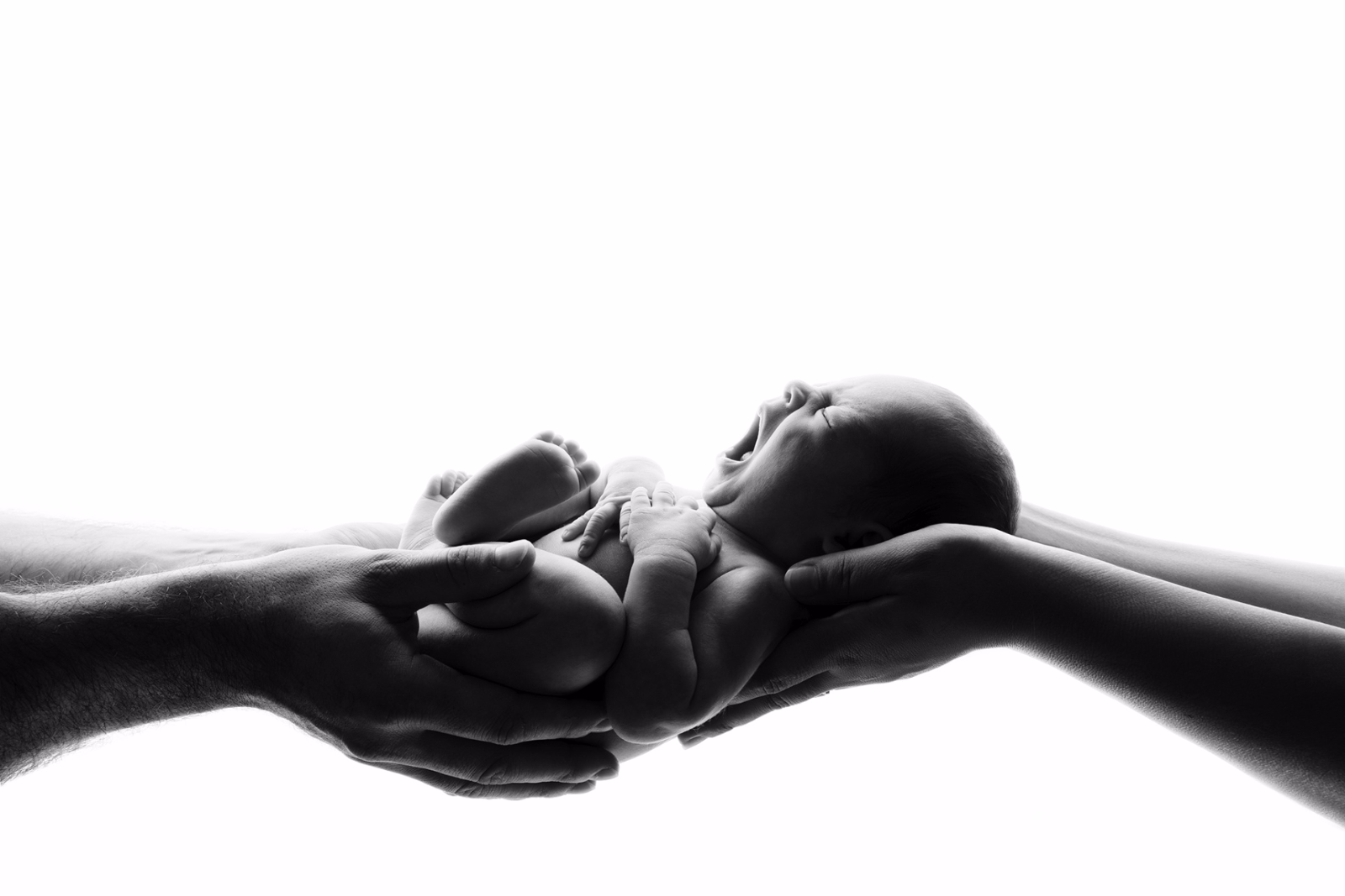 Fotografia in bianco e nero di neonato sorretto da mani dei genitori — ritratto newborn in studio fotografico a Castel Guelfo, Bologna, di Claudia Spaziani.