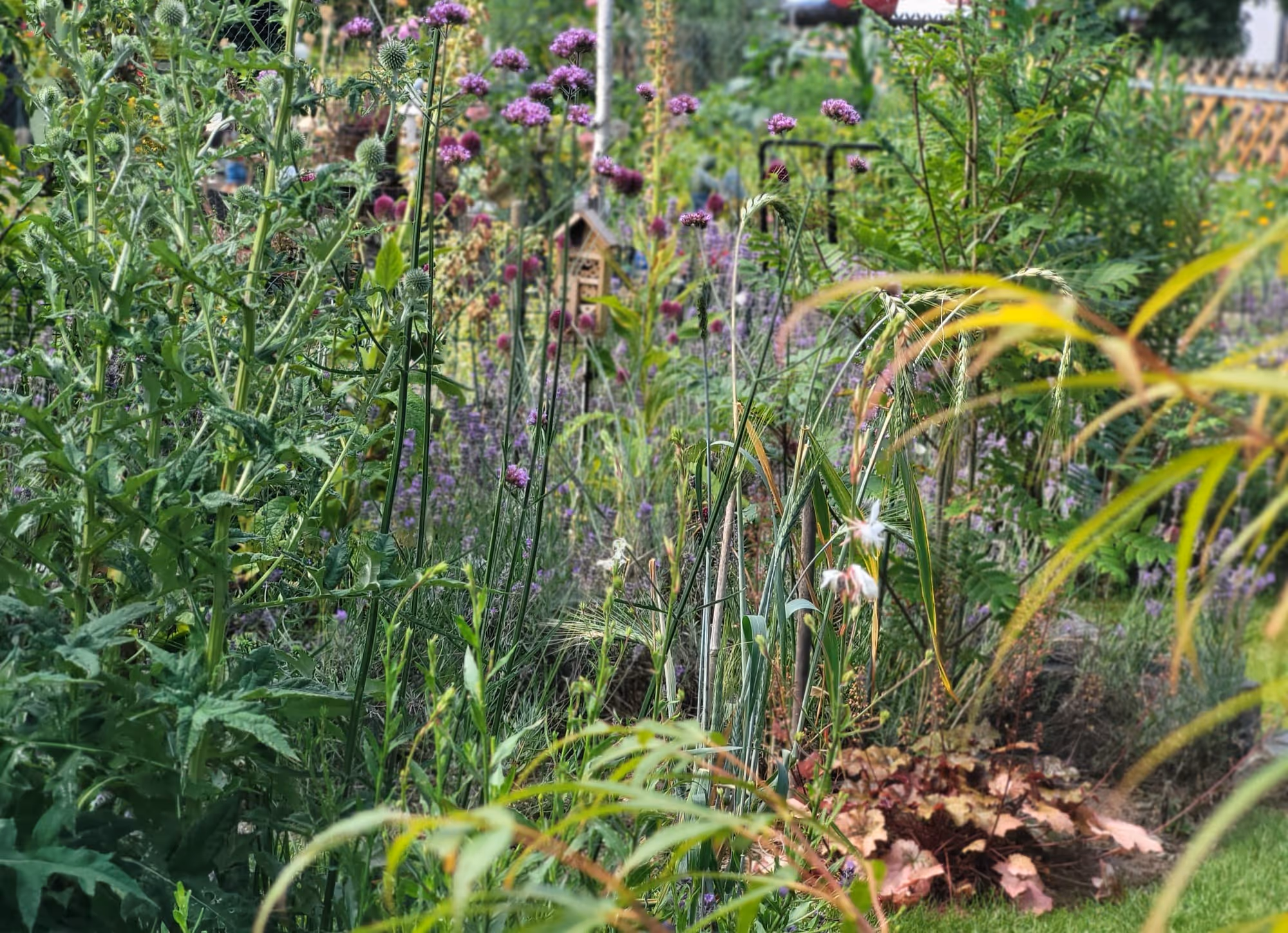 Gartengestaltung und Unterhalt