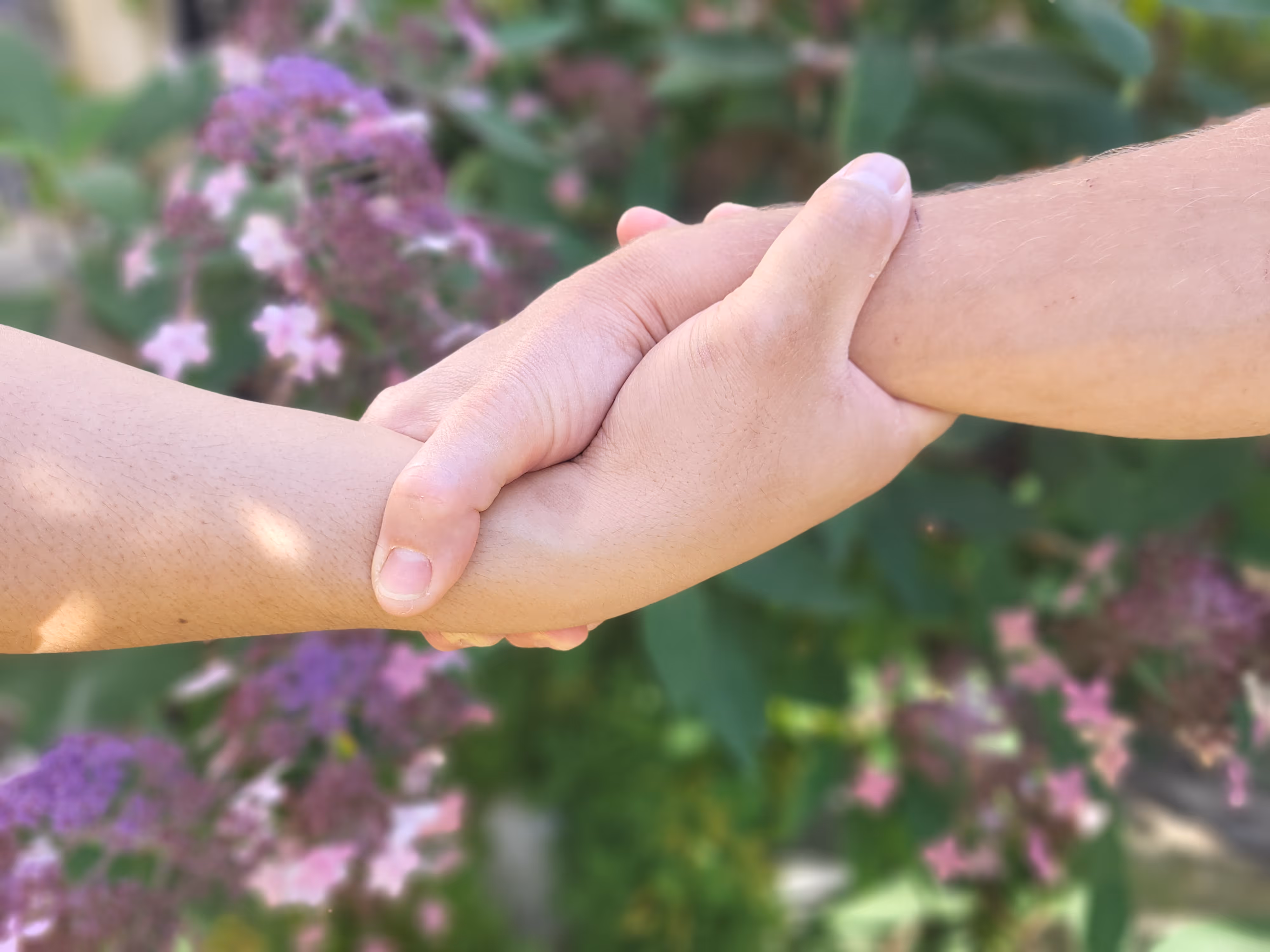 Partnerschaften: Henzelmann's Baumpflege AG, Vonlanthen Gartengestaltung und weitere