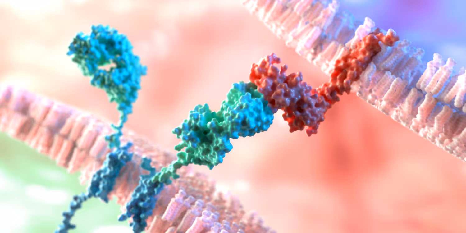 What Is an Antigen