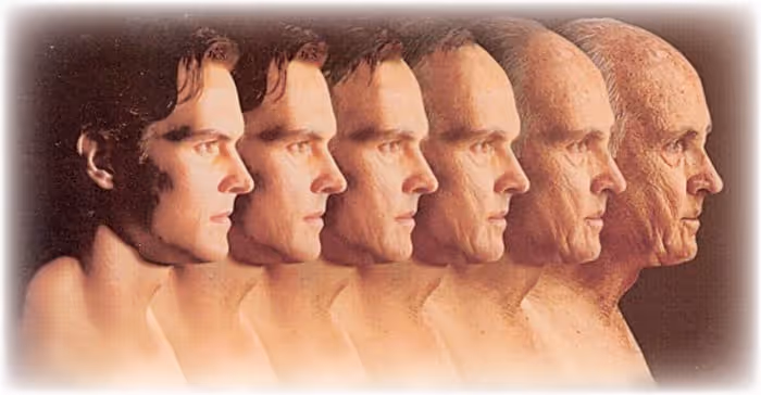 Biology Why People Age