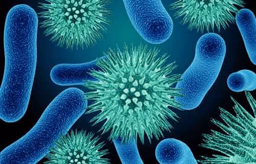 Biology What Are Pathogens