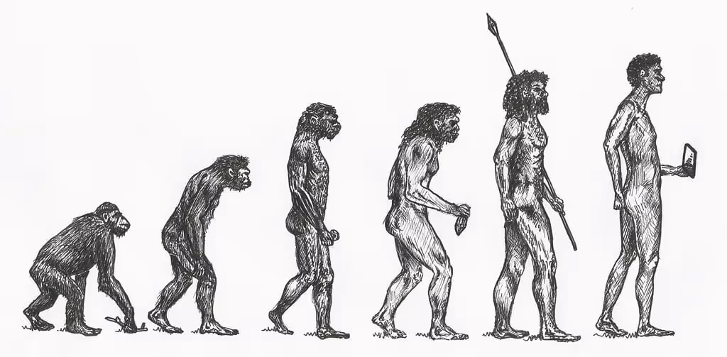 Biology Are Humans Still Evolving