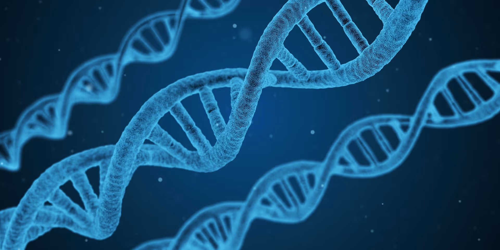 Medicine Discovery Dna Importance