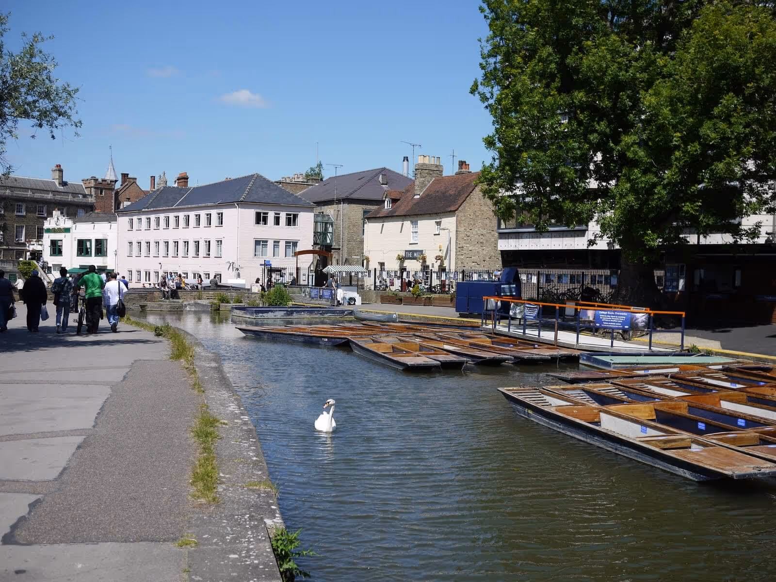 An Amble to Grantchester, and Twelfth Night!