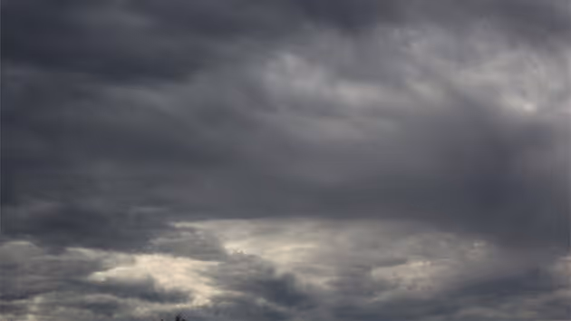 Rain, Meadows and Mock Interviews