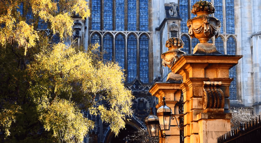 Cambridge Immerse 2014 Says Goodbye