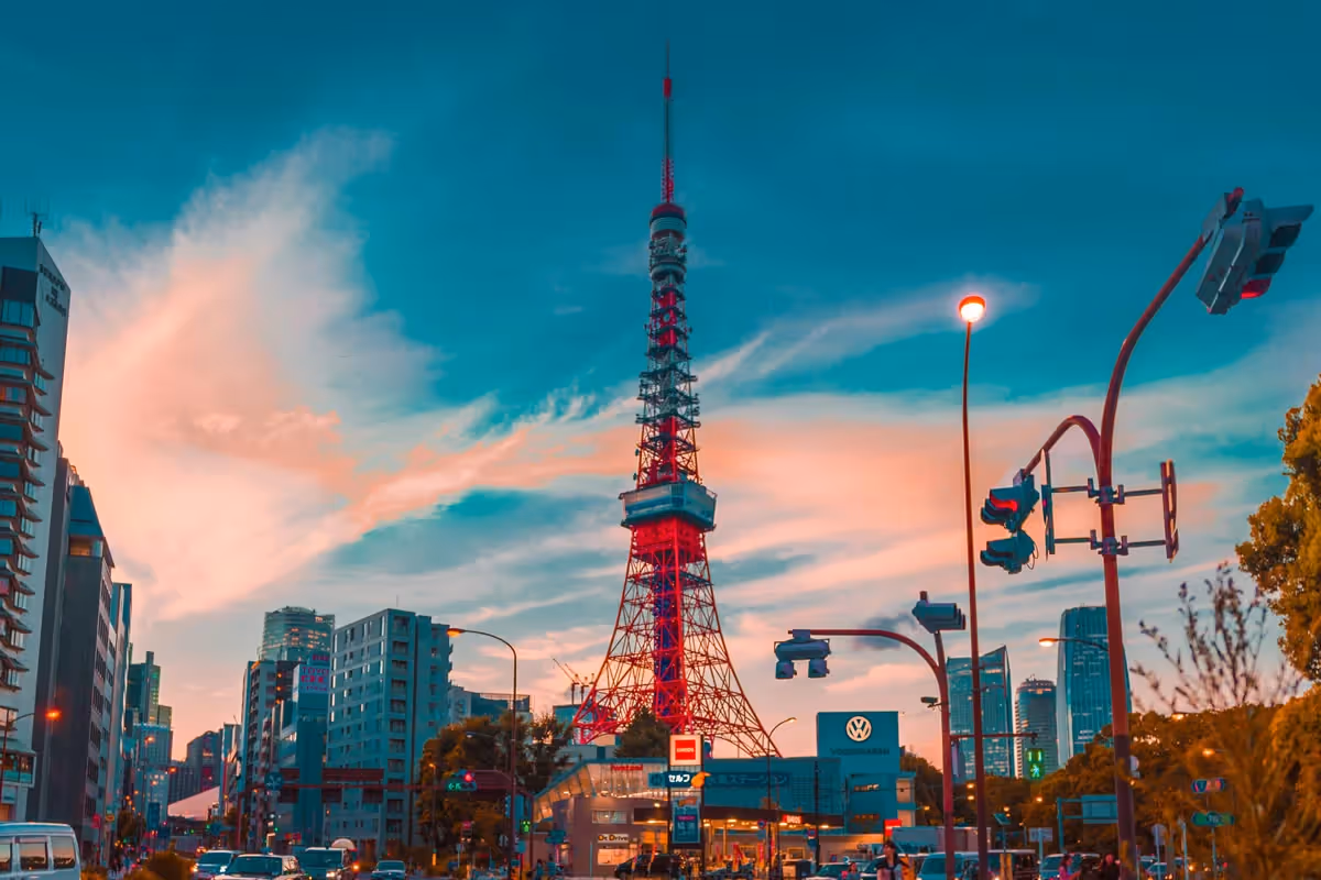 8 Unique Activities In Tokyo
