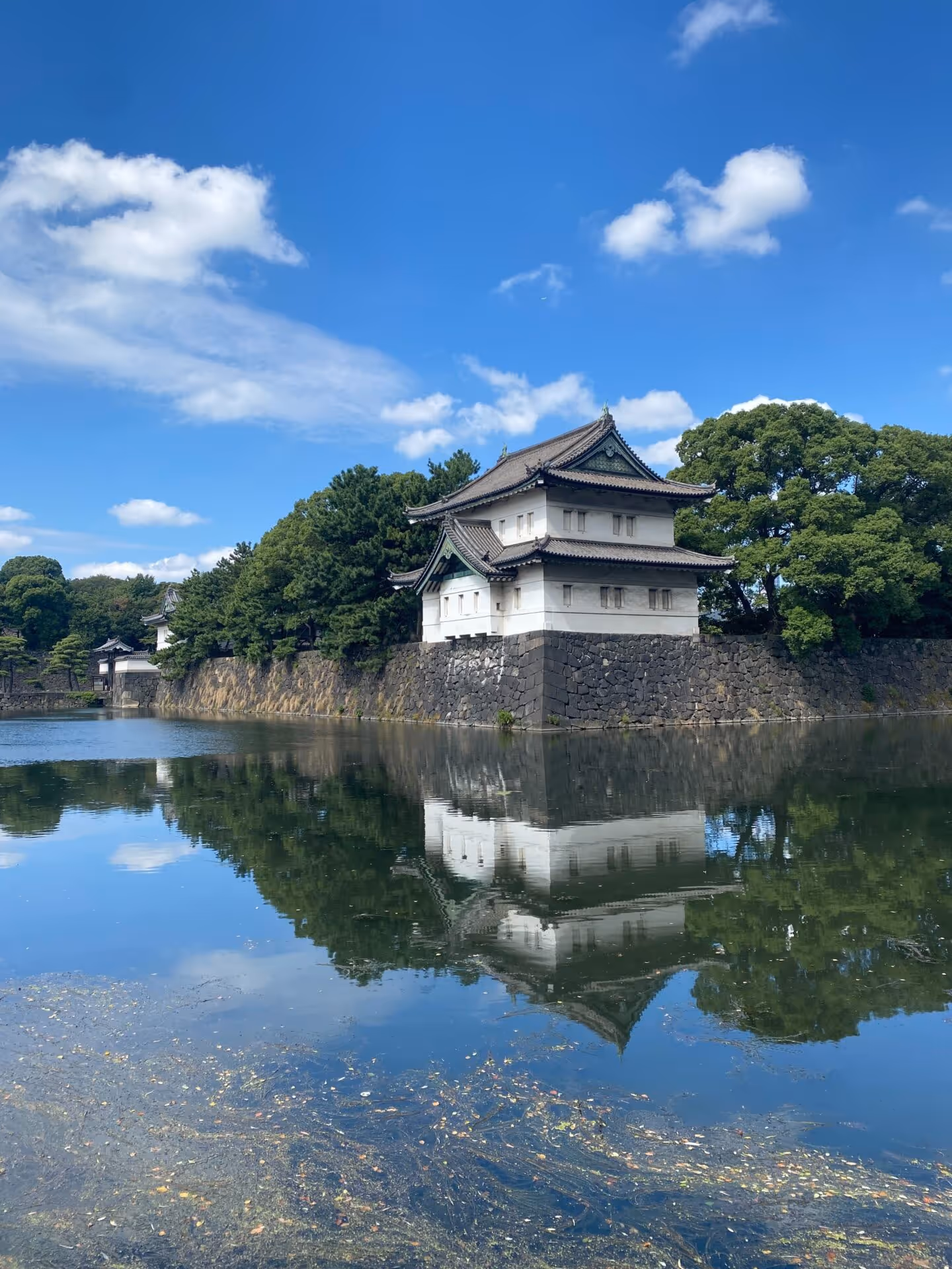 Best Study Spots For Students In Tokyo