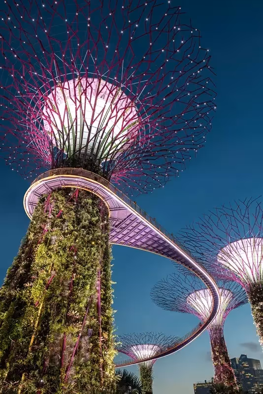 Architecture summer school in Singapore