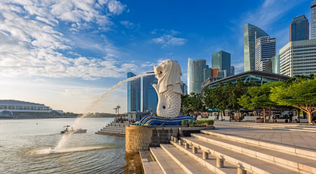 AI Career Programme Singapore | Immerse Education