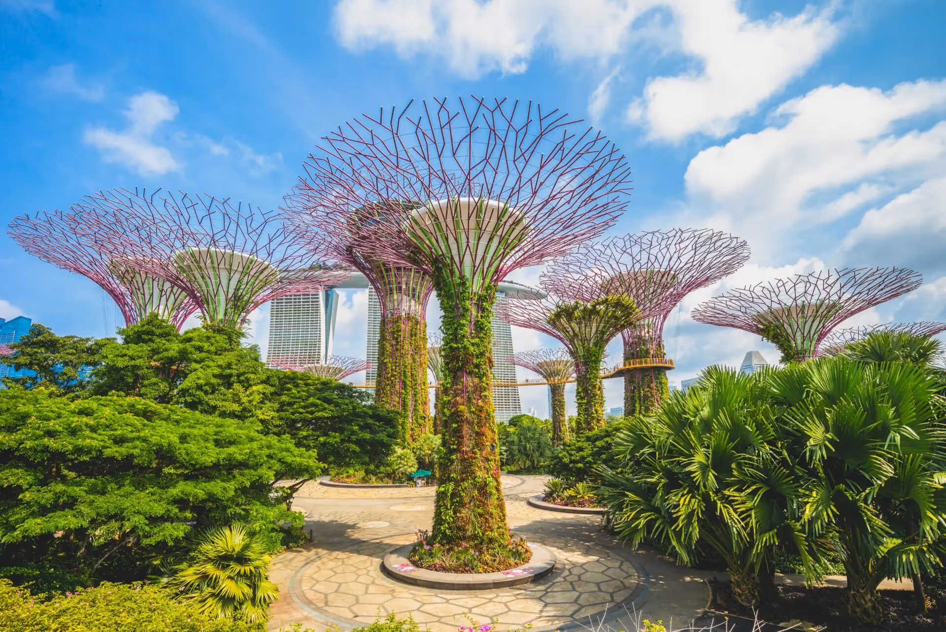Artificial Intelligence summer school Singapore