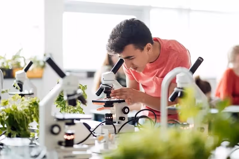 Biotechnology Summer Programme Cambridge | Immerse Education