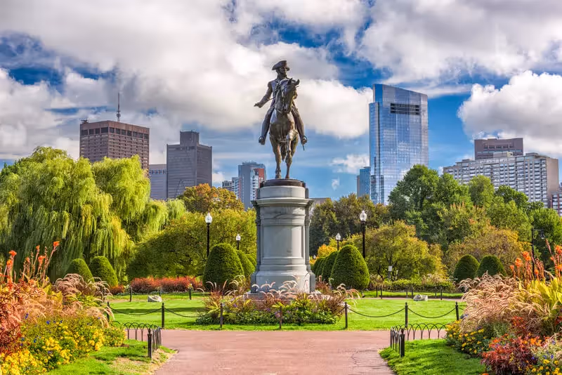 Boston Business Management summer school