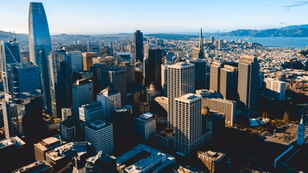 Business Management Career Programme San Francisco | Immerse Education