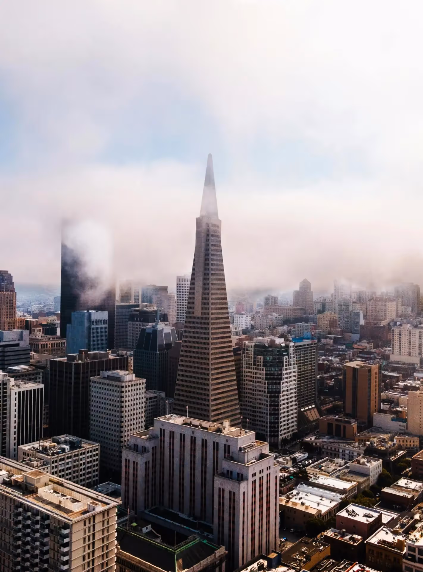 Business Management summer school in San Francisco