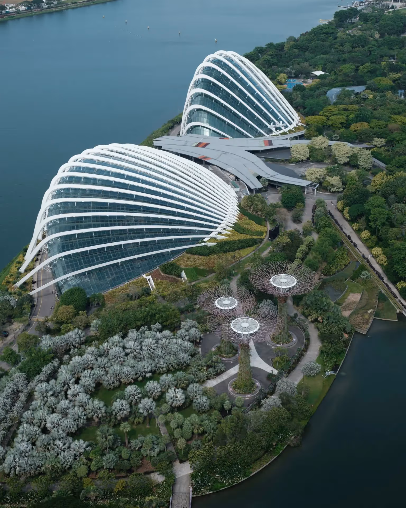 Economics summer school in Singapore