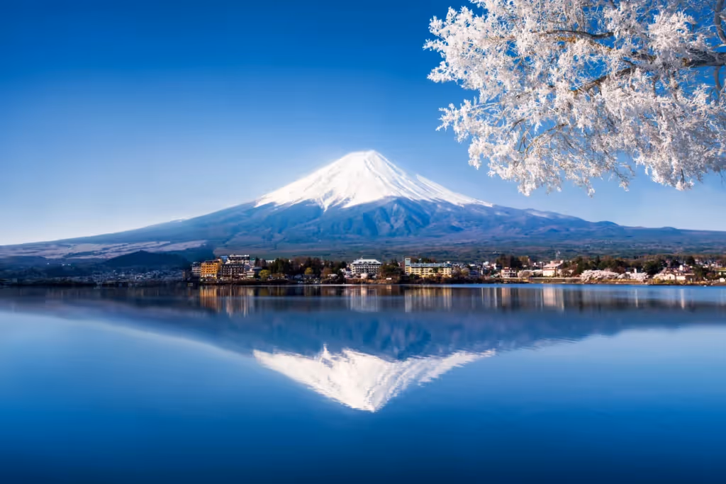 Economics Summer Programme Tokyo | Immerse Education