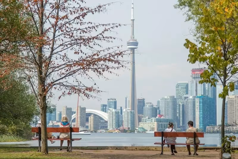Medicine summer school in Toronto