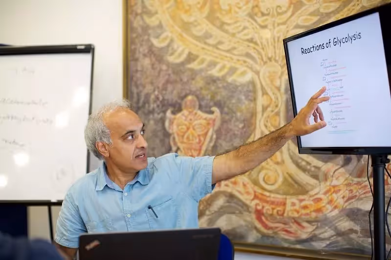 Explore Physics with Cambridge summer programs