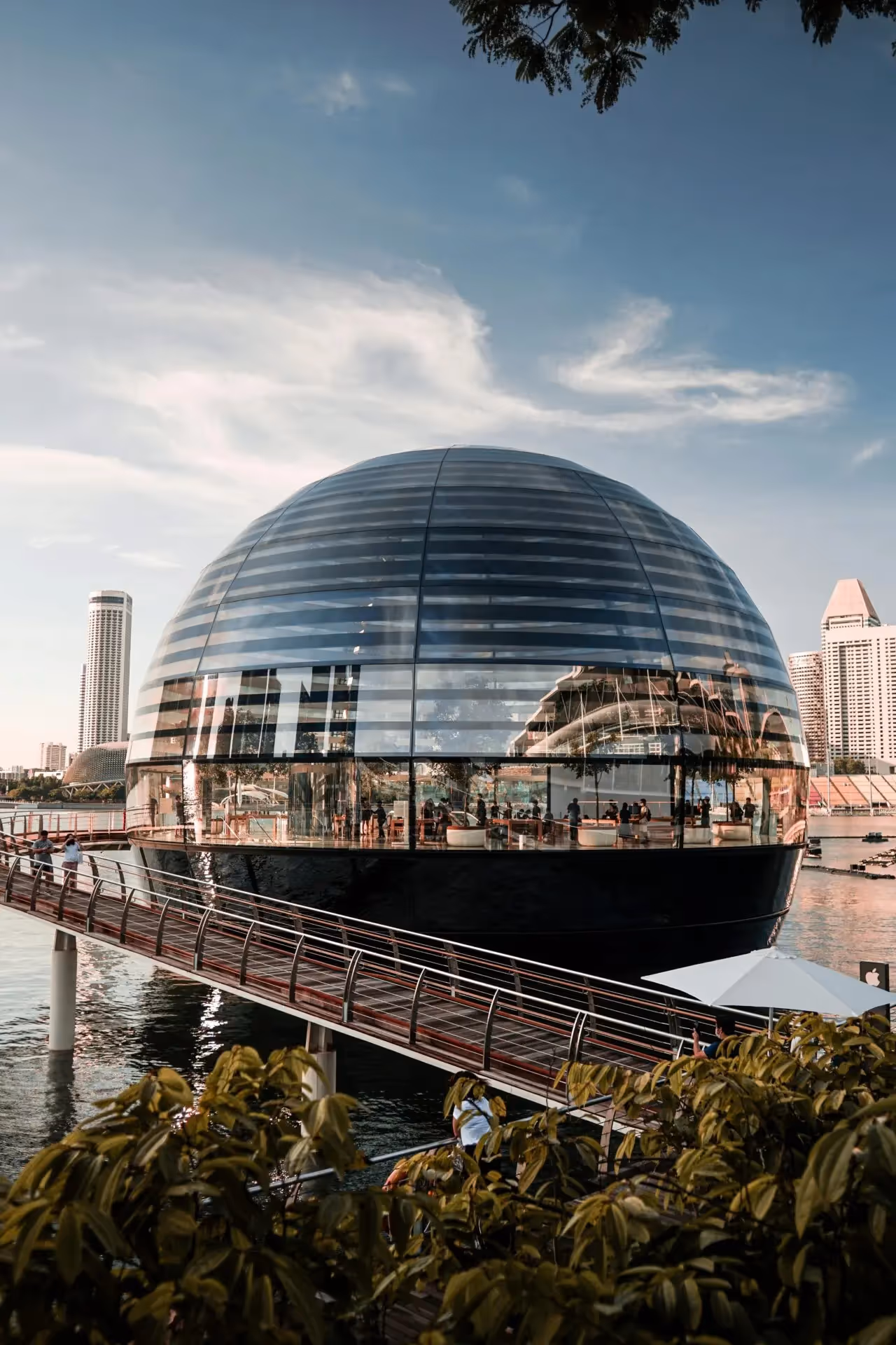 Psychology summer school in Singapore