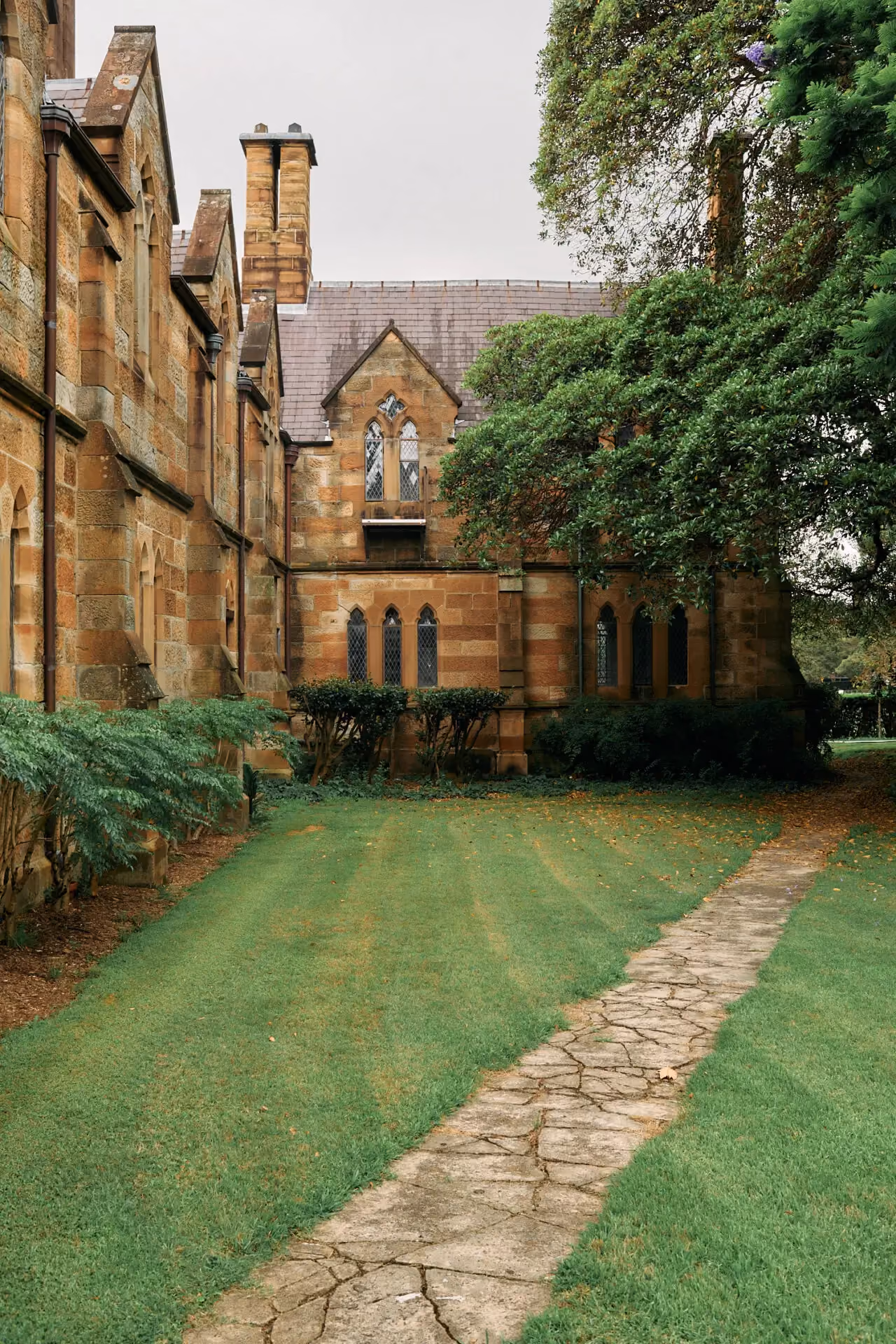 Medicine summer school in Sydney