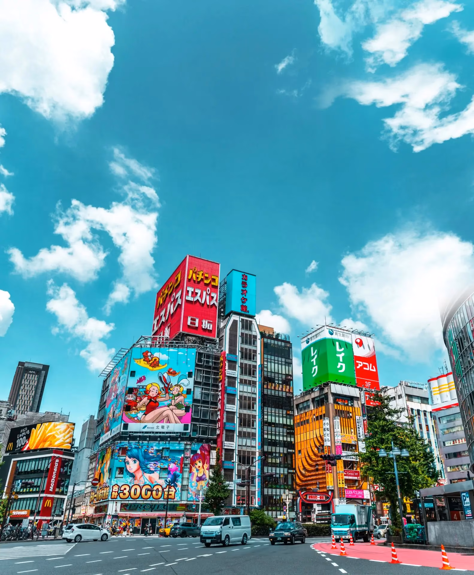 Engineering summer school in Tokyo