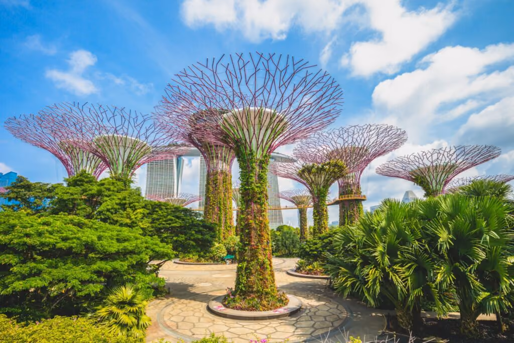 Business Management Career Programme Singapore | Immerse Education