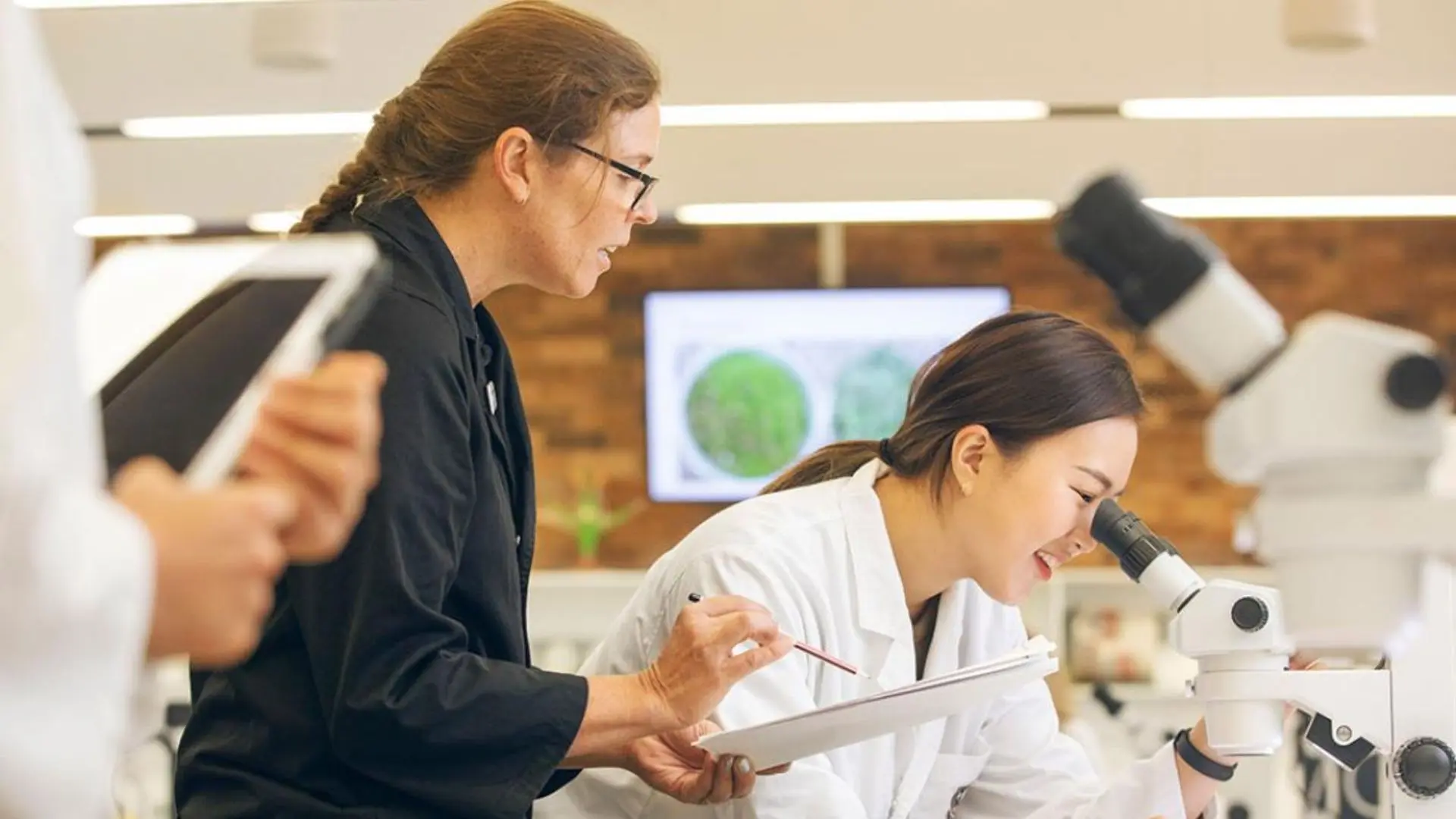12 Psychology Courses in Australia for High School Students 3