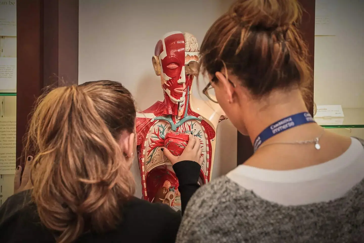 15 Medical Research Internships For High School Students 1