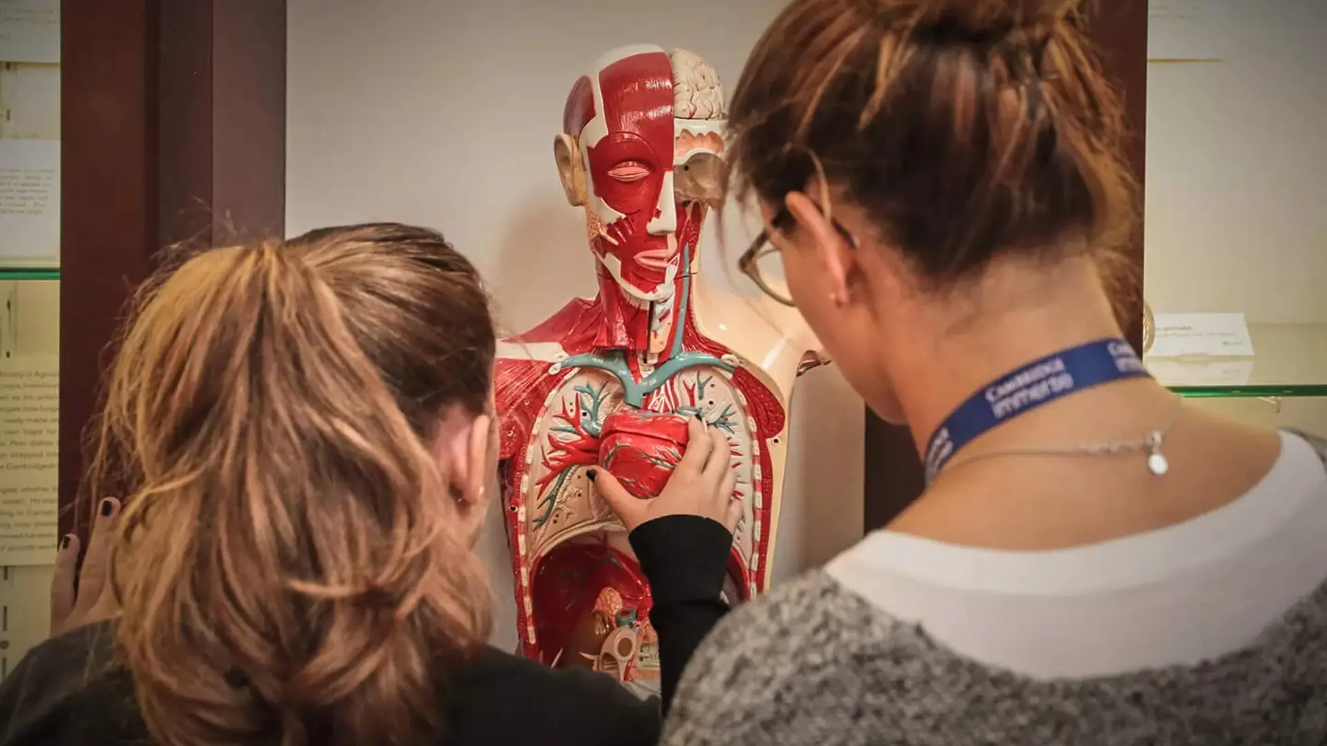 15 Medical Summer Camps for 13 Year Olds 1