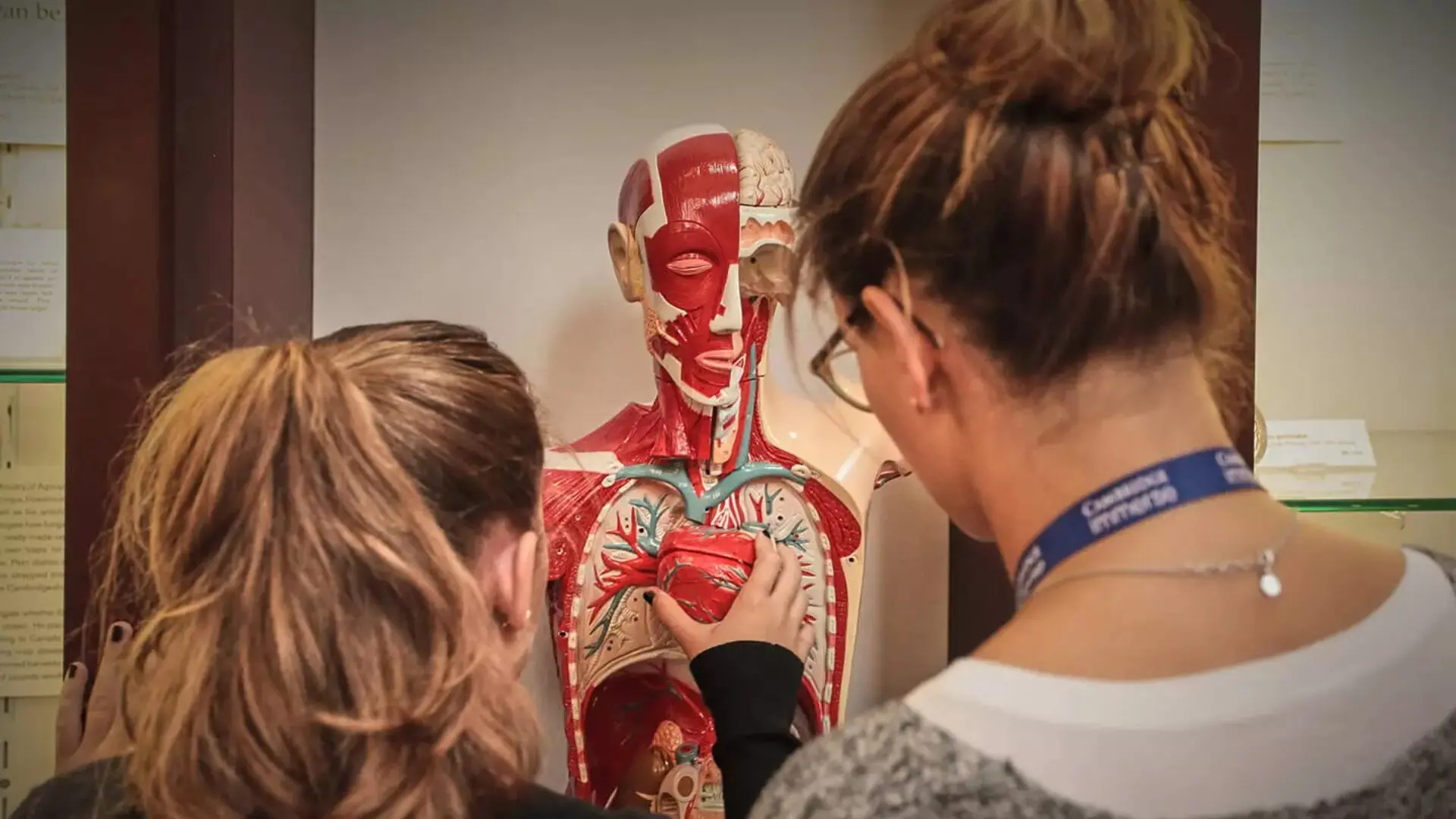 15 Biomedical Summer Programs for High School Students 1