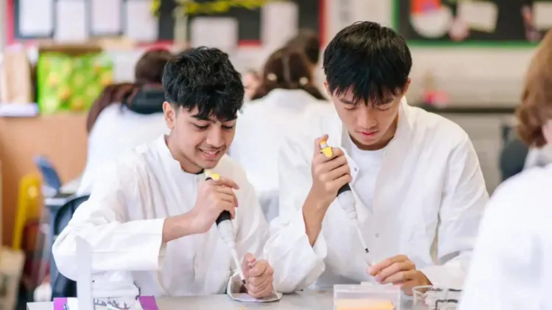 15 Medicine Summer Programs in Europe for High School Students 2