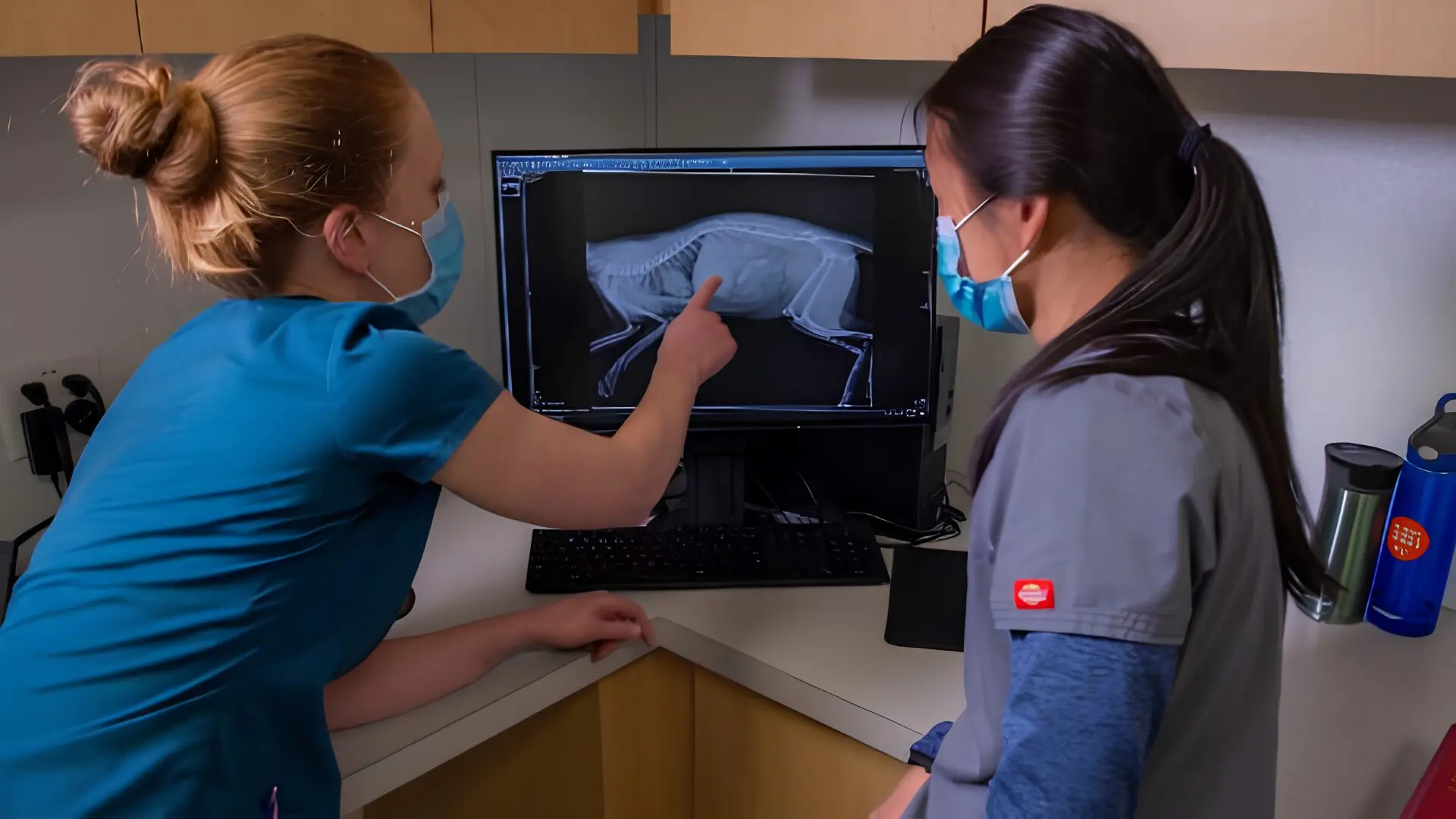 15 Pre-Vet Summer Programs for High School Students 2