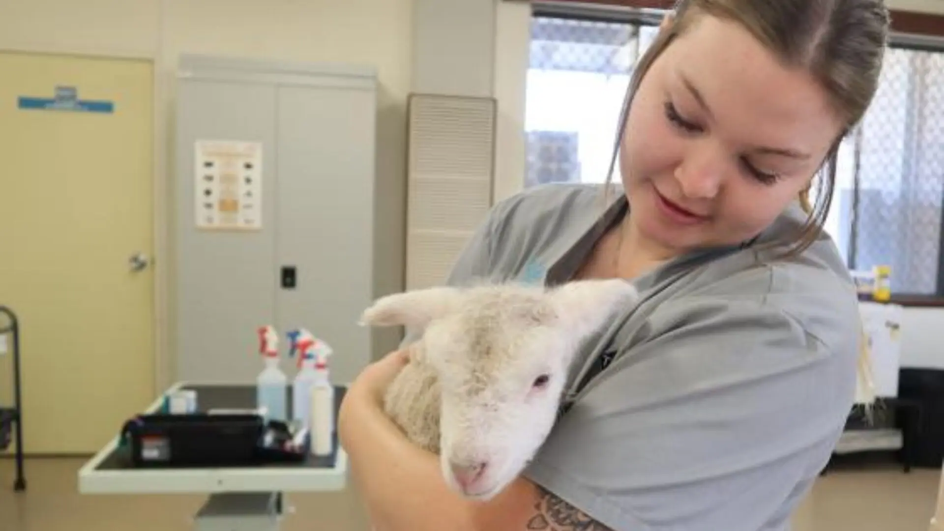 15 Veterinary Studies Programs in Australia for High School Students 3