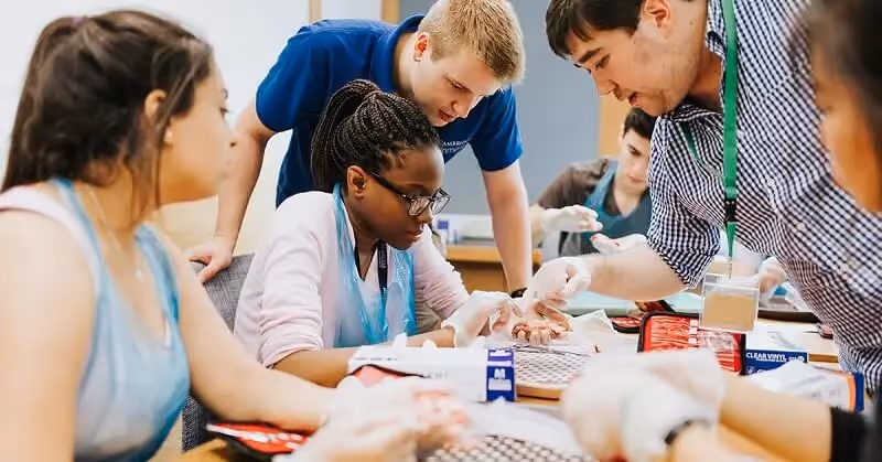 Explore the Medicine programme in Singapore