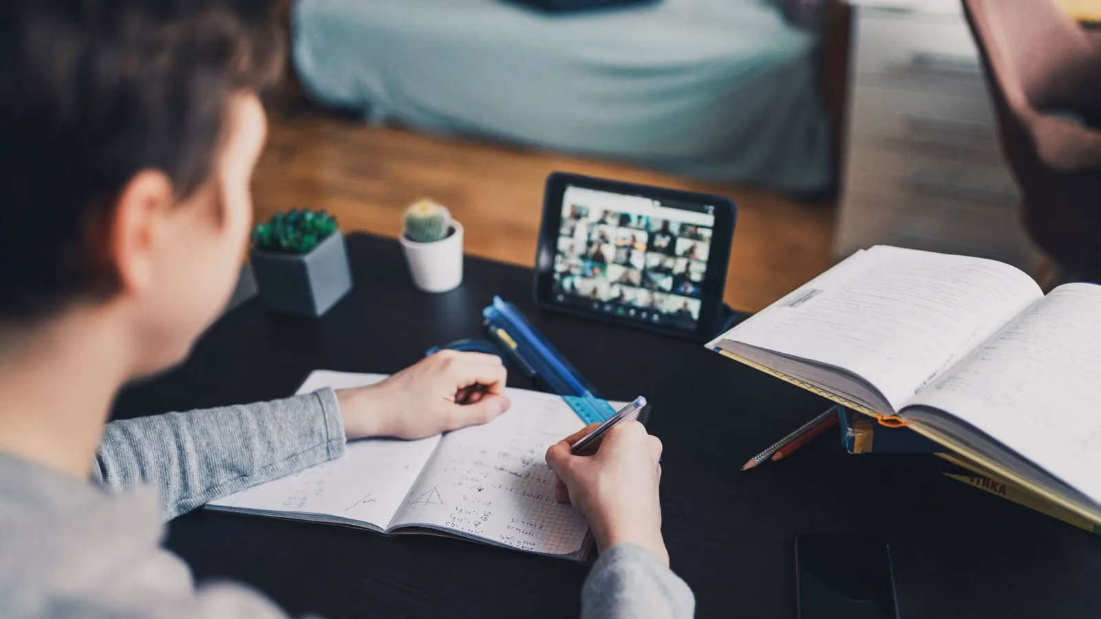 15 Online Natural Sciences Programs for High School Students