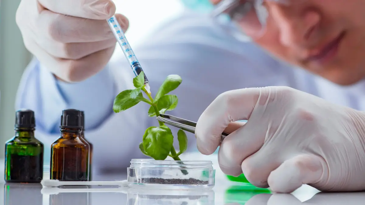 Summer Science Program 2026 Guide