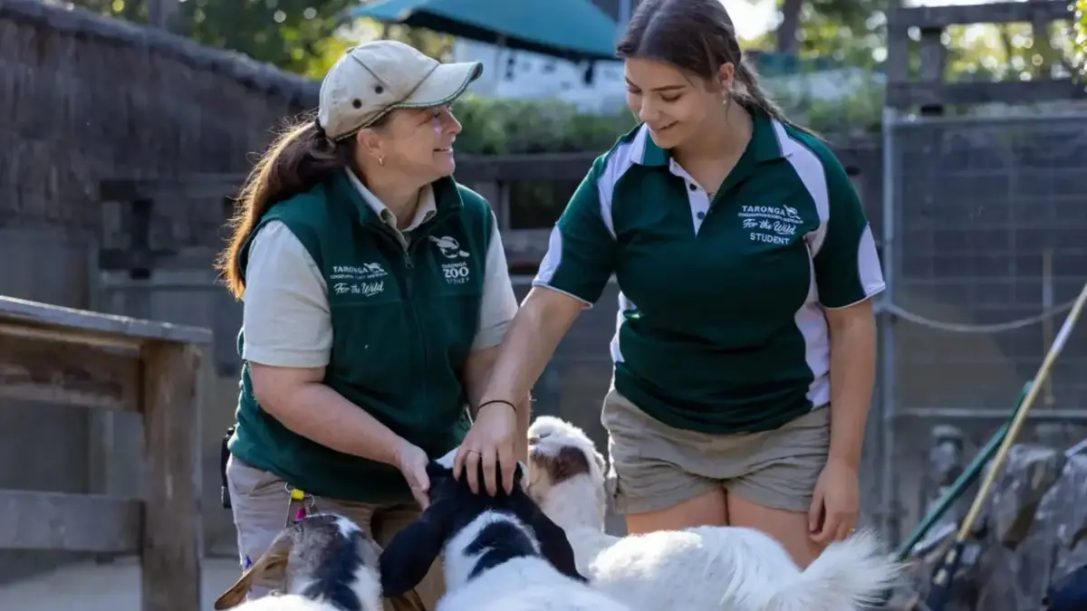 15 Veterinary Studies Programs in Australia for High School Students 2