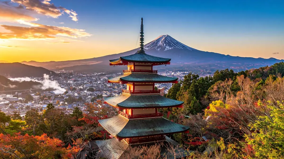 15 Stem Programs in Japan for High School Students