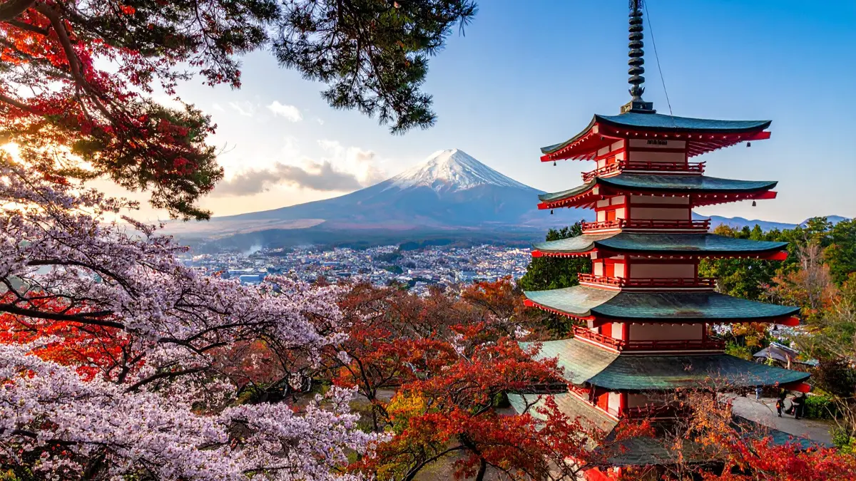 15 Psychology Summer Programs in Japan for High School Students