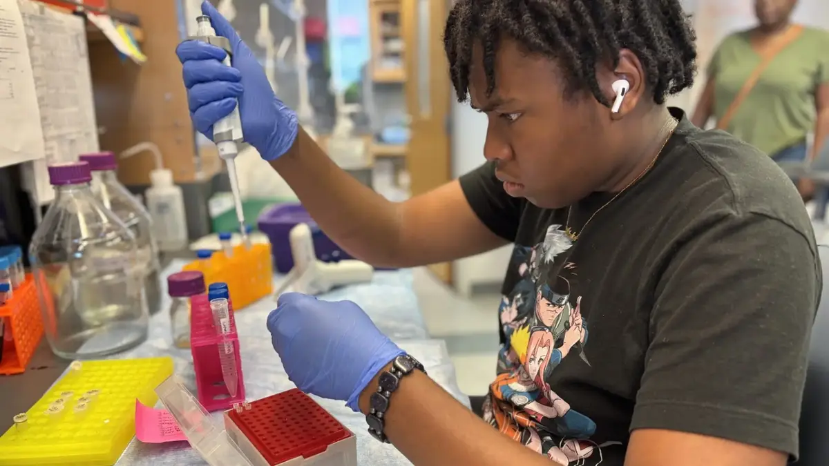 15 Psychology Research Programs for High School Students 3