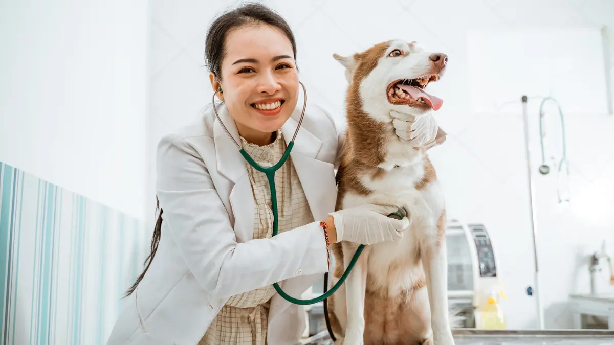 15 Pre-Vet Summer Programs for High School Students