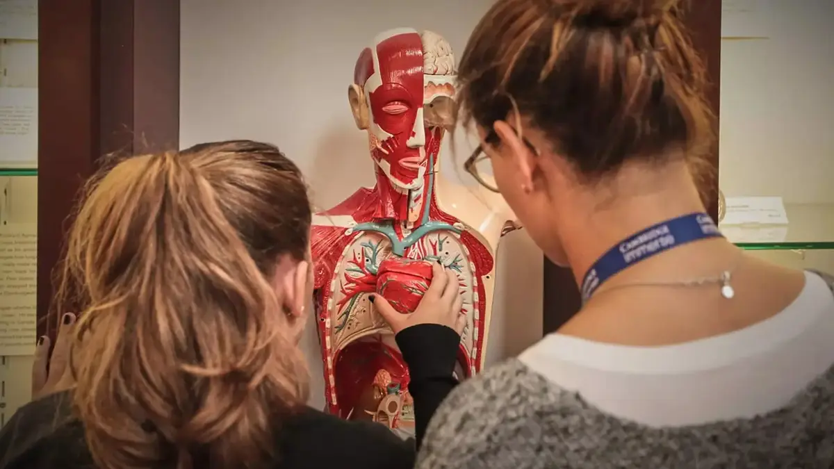 15 Medicine Summer Programs in Europe for High School Students 1